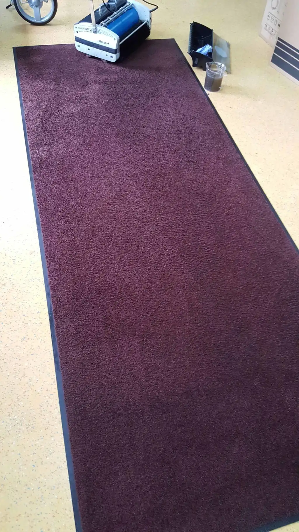 Teppich nach der Reinigung