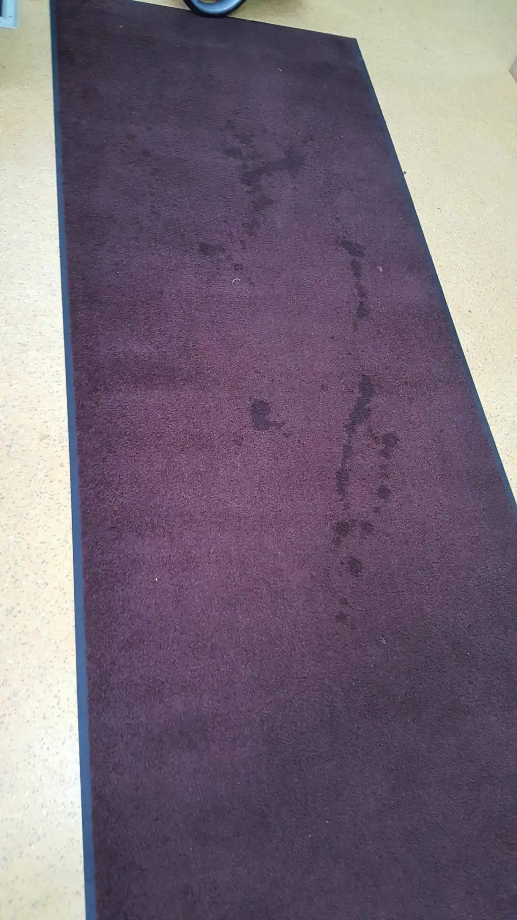 Teppich vor der Reinigung